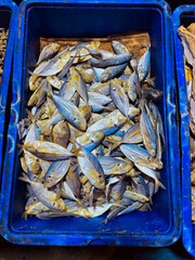 fresh salted fish sold in the market