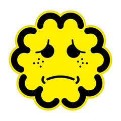 Cookie character with many faces, 'SunSunSunny Cookies'.　
Cookies with a pity face.