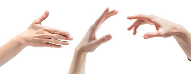 Set of Hands Isolated on a Transparent Background