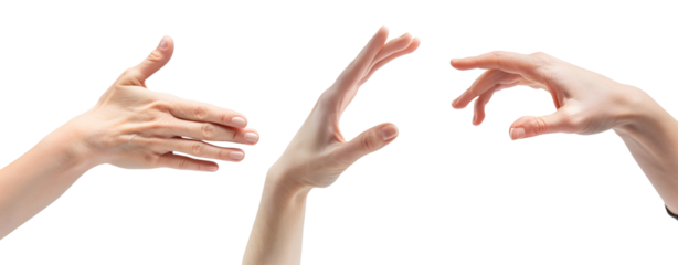 Set of Hands Isolated on a Transparent Background