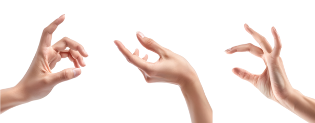 Set of Hands Isolated on a Transparent Background