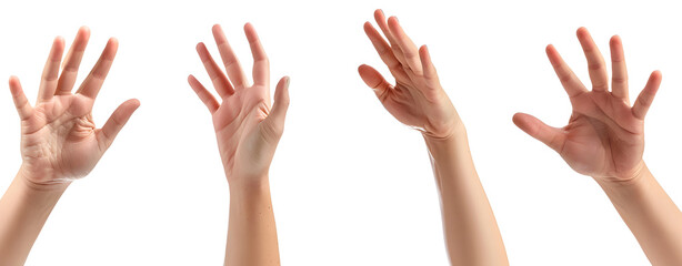 Set of Hands Isolated on a Transparent Background