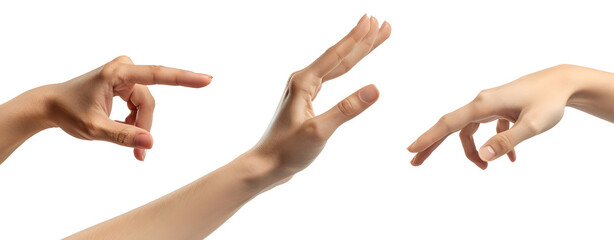 Set of Hands Isolated on a Transparent Background