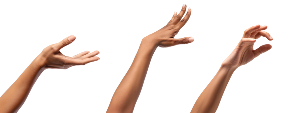Set of Hands Isolated on a Transparent Background