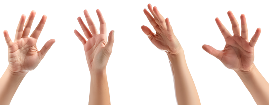 Set of Hands Isolated on a Transparent Background