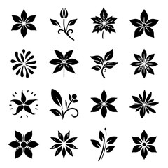A collection of black and white flower designs