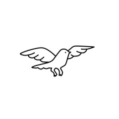 dove line icon