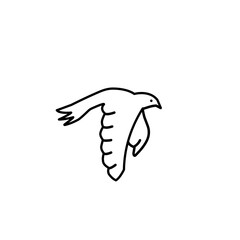 dove line icon