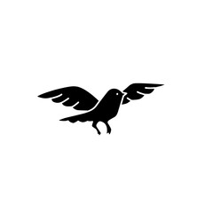Bird dove silhouette
