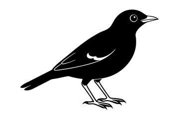 Obraz premium Common Myna icon silhouette vector illustration