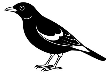 Common Myna icon silhouette vector illustration