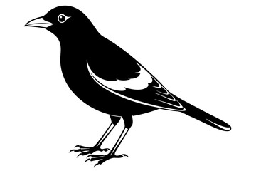 Common Myna icon silhouette vector illustration