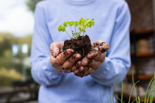 Holding soil and plant, person gardening and nurturing new growth indoors