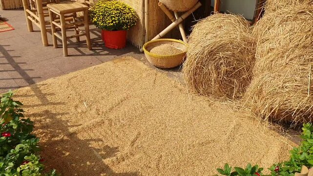 Scene decorate home for Tet from environmentally friendly material as straw, bamboo, banana trees, culture tradition of Vietnamese Tet with yellow apricot, daisy flower,red tag, banh tet springstime