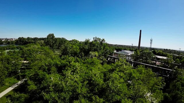 Take a leisurely stroll through a lush green park and enjoy the sights and sounds of nature. The calming sounds of birds chirping and the gentle rustling of leaves in the breeze create a peaceful
