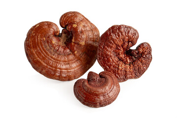 Dried lingzhi mushroom with capsule drug, alternative medicine herbal organic herb.