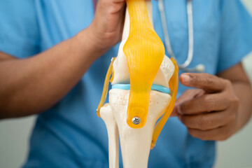 Asian doctor present knee joint model for elderly patient to surgery orthopedic.