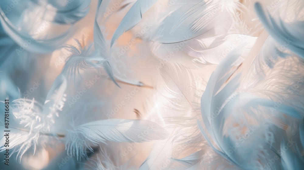 Poster Close-up of delicate white feathers gently floating in the air, creating a light and ethereal atmosphere.