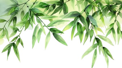 Watercolor Clip art of Bamboo Leaf white background