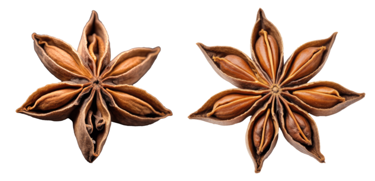 star anise isolated on transparent background 
