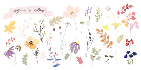 Autumn and fall season flower with leaf water color decoration in flame ,wallpaper ,banner , thanksgiving