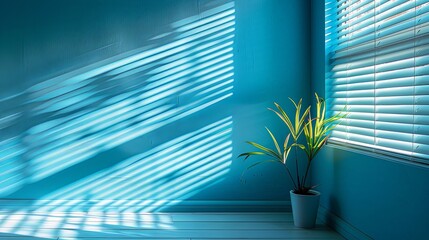Sunlight Streaming Through Blinds in a Teal Room
