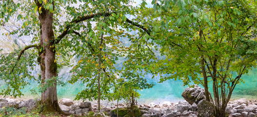 Panoramic view of Obersee lake landscape in Germany Alps.