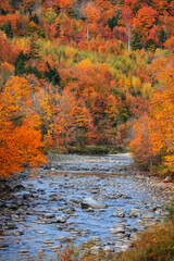 Small river flowing through Vermont countryside, surrounded with fall foliage