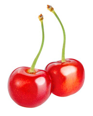 Red Cherry fruit on white background, Japanese Red highest variety of cherries isolate on white PNG File.