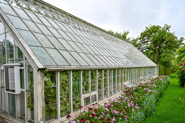 Very nice greenhouse with white wooden frame, large windows and pointed roof with many green plants inside, cultivation of plants, Sofiero Palace Gardens, Helsingborg, Sweden