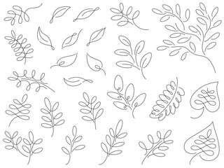 Fototapeta premium 植物の線画イラスト