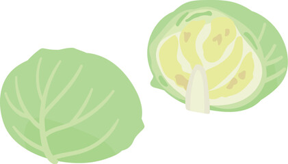 半分に切ったキャベツ