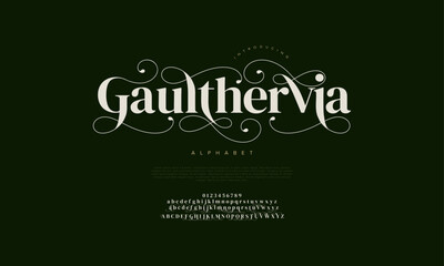 Gaulthervia premium luxury elegant alphabet letters and numbers. Vintage wedding typography classic serif font decorative vintage retro. creative vector illustration