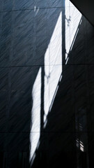 Fototapeta premium Tokyo