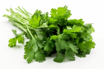 Fototapeta premium Coriander fresh greens cilantroisolated on the white