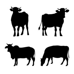 Cows silhouettes on white background. Farm animals. Cow vector illustration.