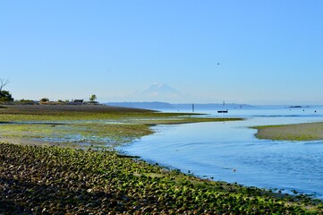 Low Tide on Bainbridge