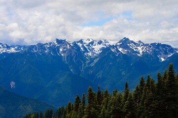 Summer Mountainscape