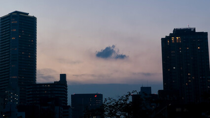 Fototapeta premium Tokyo