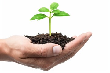 Hand holding a small green sapling growing in dark soil, representing growth and nurturing. Conceptual photography emphasizing care and nature. Perfect for eco-friendly campaigns. Generative AI.