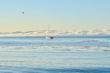 Fototapeta premium Sailing on the Canadian Clouds