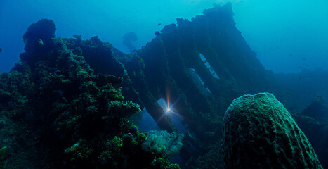 Underwater photography of the spooky USS Liberty shipwreck from the second world war WWII. From a...