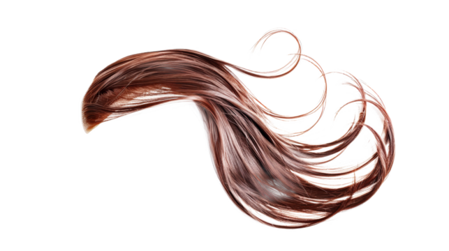 Copper Shimmer blonde Hair Wig style of woman isolated