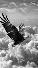 Eagle in flight above the clouds