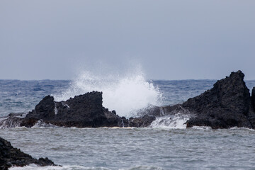 南西の強風を受けて荒れる磯。

日本国静岡県伊豆半島賀茂郡南伊豆町中木から渡し船で渡るヒリゾ浜にて。
2024年6月撮影。

