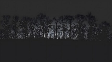 The silhouettes of trees against a dark, twilight black background