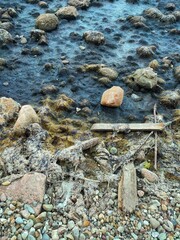 Dirty seashore with stones, algae and boards in the water. Environmental pollution concept 