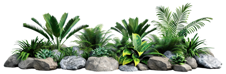 Tropical plants and rocks in a miniature landscape setting, cut out