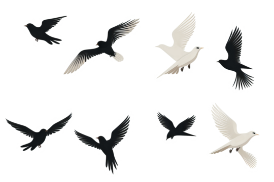 Flock of birds in flight with transparent background for easy decoration projects in PNG style