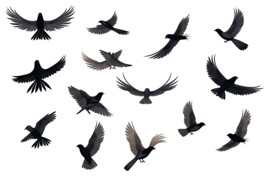 Flock of birds in flight with transparent background for easy decoration projects in PNG style